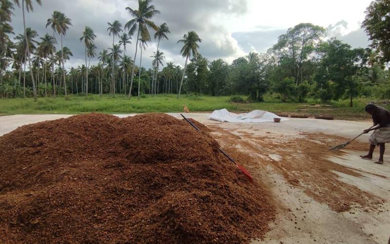 Coconut Husk Chips from Sri Lanka